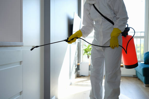 Reliable Normal, IL Mold Inspection, Removal & Remediation Solutions